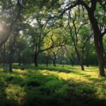 UC04222 - Realizar ações de ecologia geral no âmbito da gestão ambiental