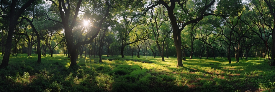 Imagem de Destaque do Curso: UC04222 - Realizar ações de ecologia geral no âmbito da gestão ambiental